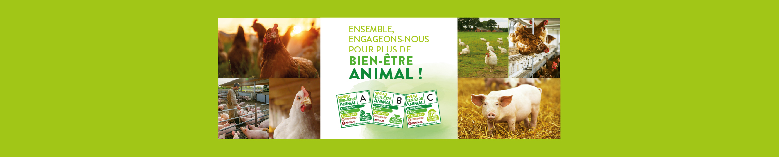 Bien être animal : un engagement Casino pour des élevages plus respectueux