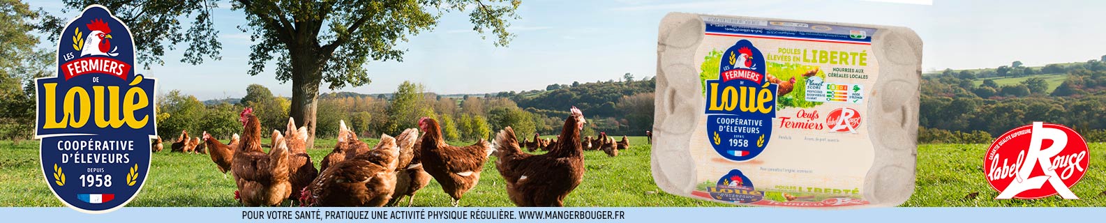 Les oeufs Les Fermiers de Loué