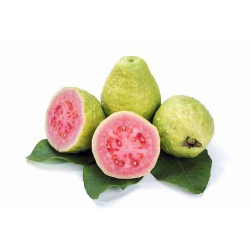 NO NAME CASINO-007427