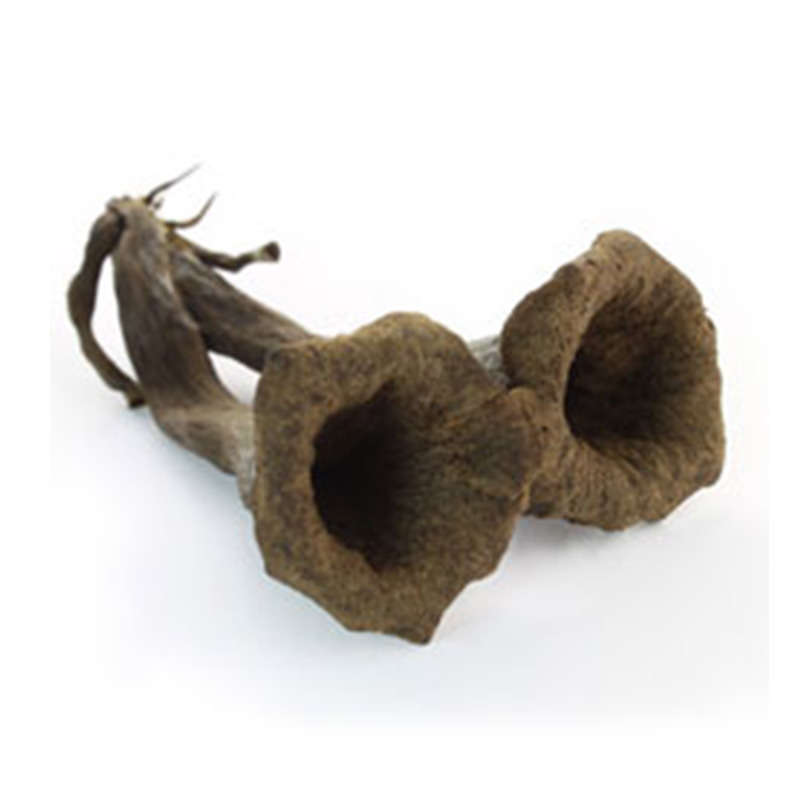 NO NAME CASINO-008982