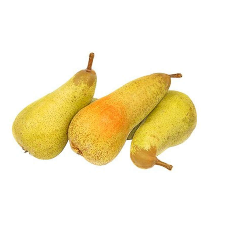 NO NAME CASINO-051676