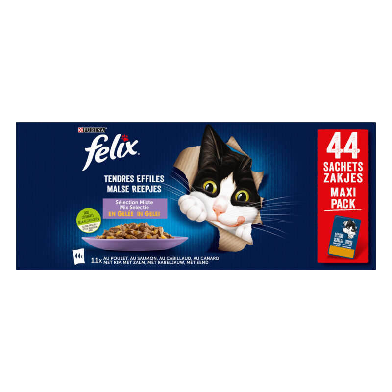 FELIX-075805