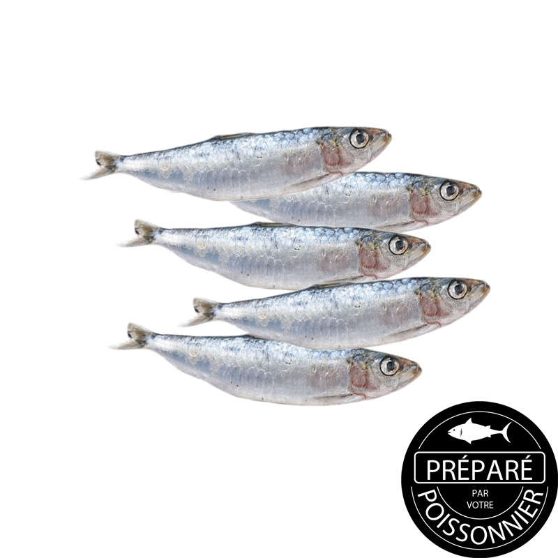 PAVILLON FRANCE-087377