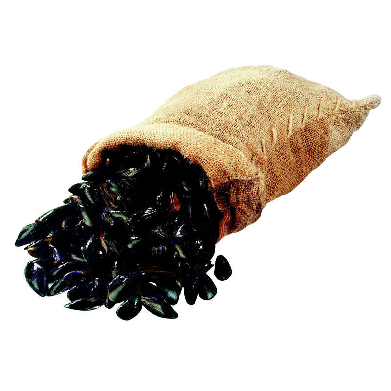 NO NAME CASINO-087902