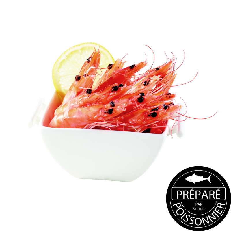 NO NAME CASINO-088041