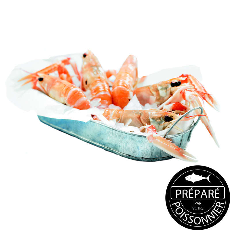 NO NAME CASINO-088068