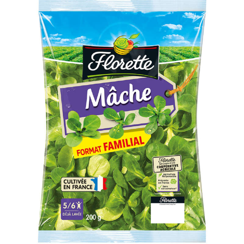 FLORETTE-146447