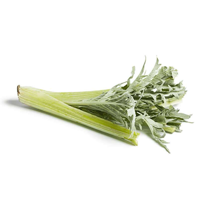 NO NAME CASINO-168790