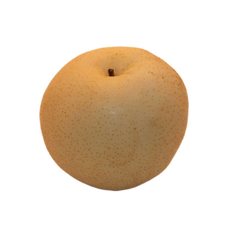 NO NAME CASINO-239303