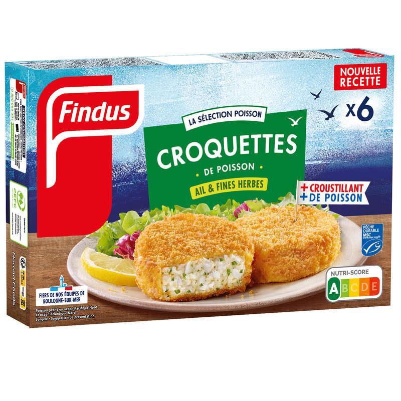 FINDUS-281104