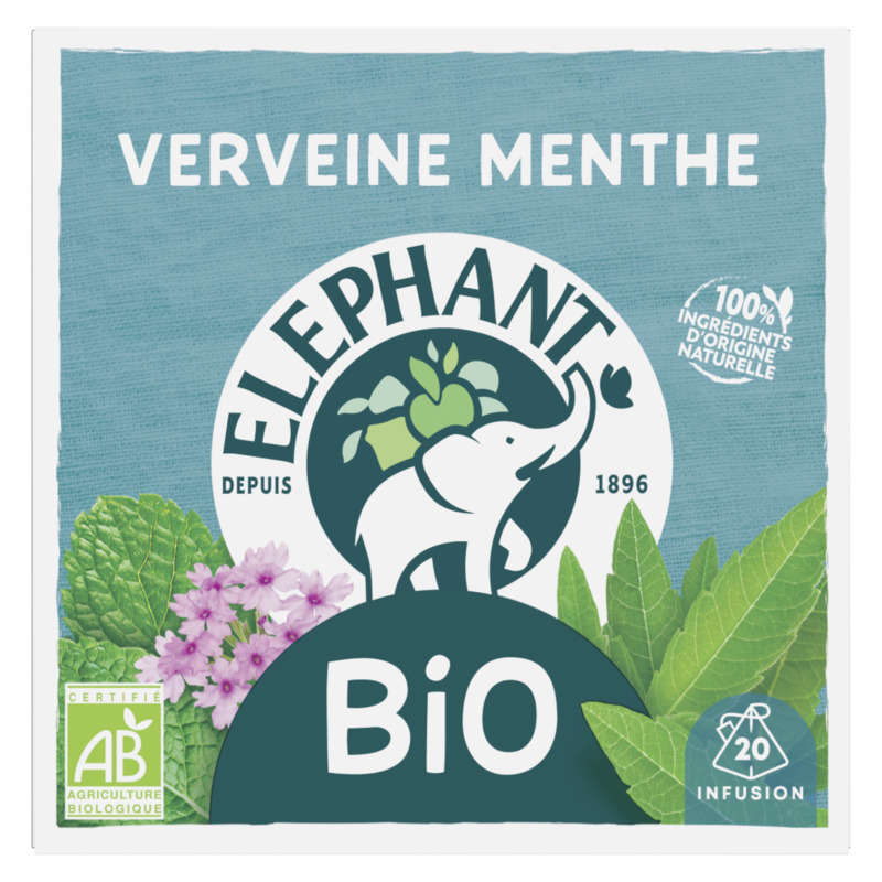 ELEPHANT-288173
