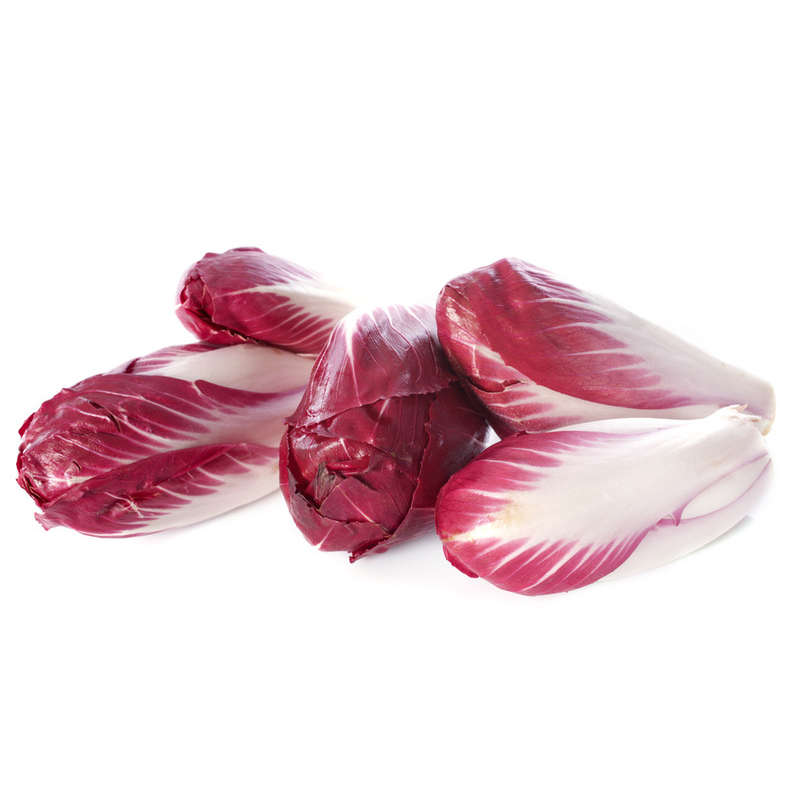 NO NAME CASINO-309306