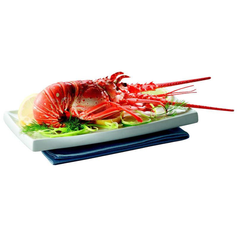 NO NAME CASINO-314967