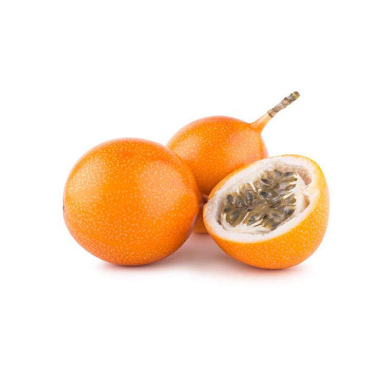 NO NAME CASINO-345886