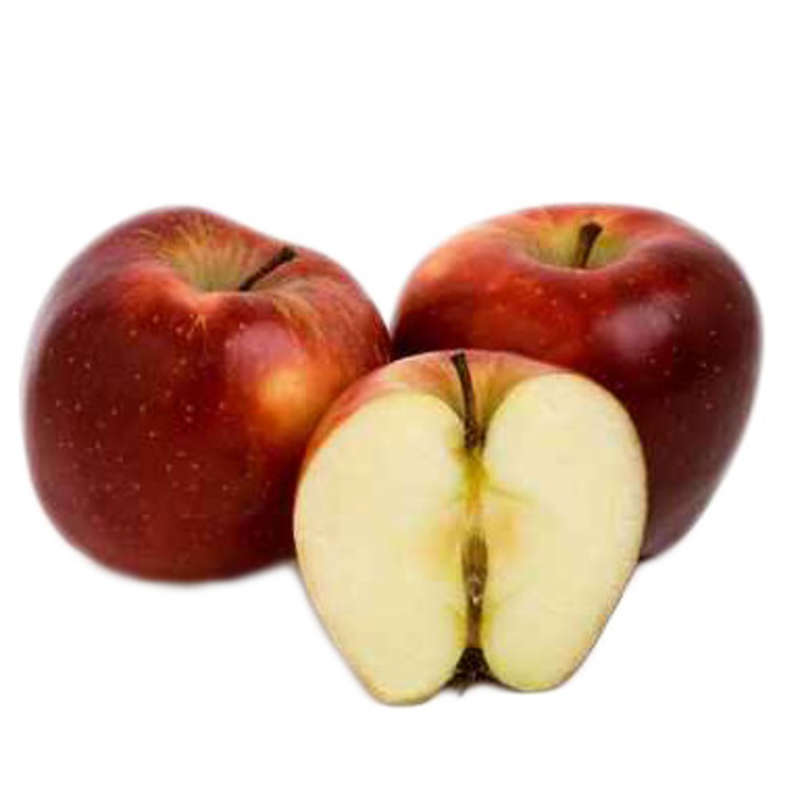 NO NAME CASINO-347386