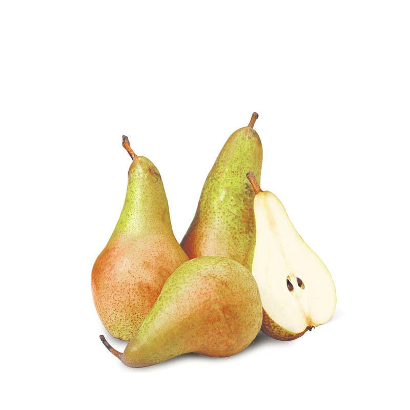 NO NAME CASINO-347835