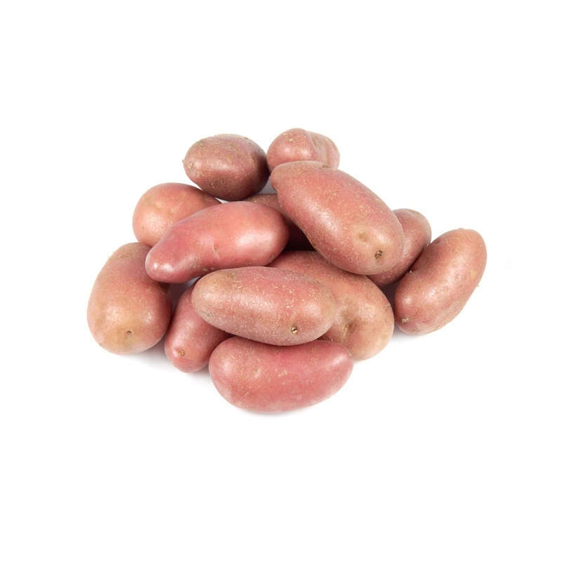 NO NAME CASINO-350400