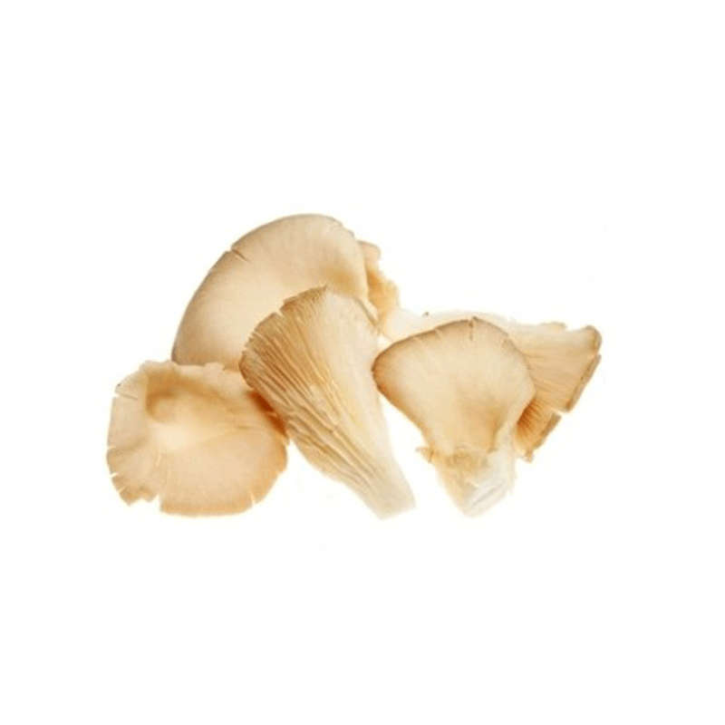 NO NAME CASINO-370789