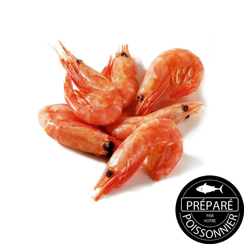 NO NAME CASINO-371150