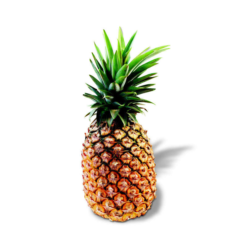 NO NAME CASINO-395100