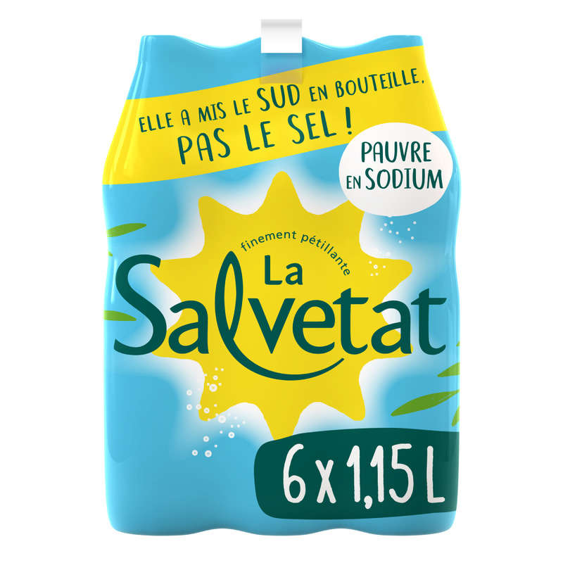 SALVETAT-450668