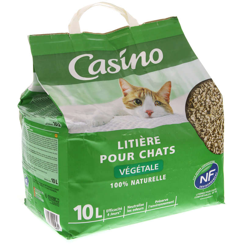 chat saint pierre