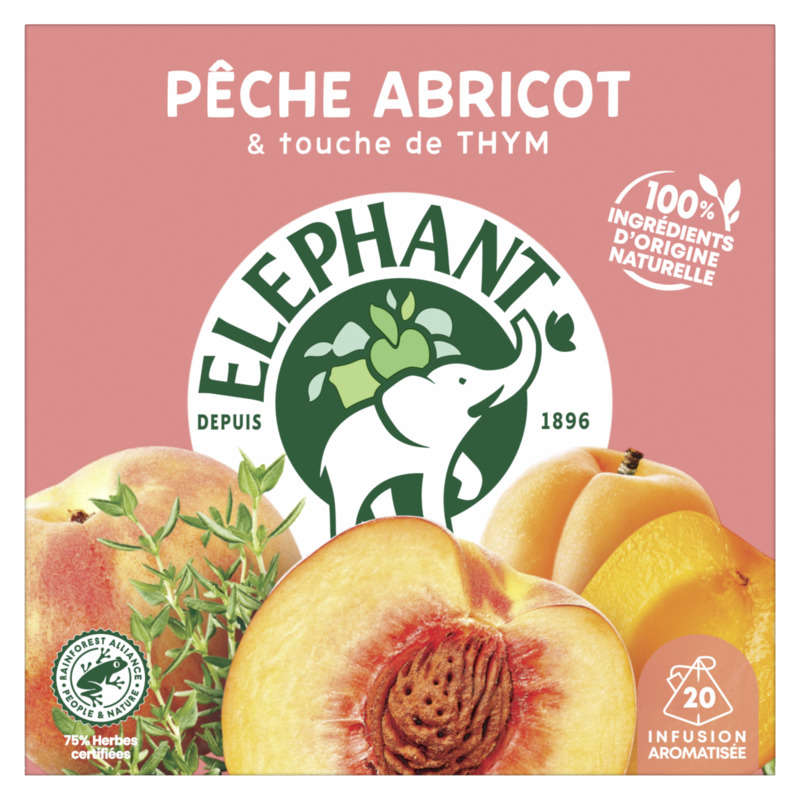 ELEPHANT-592298
