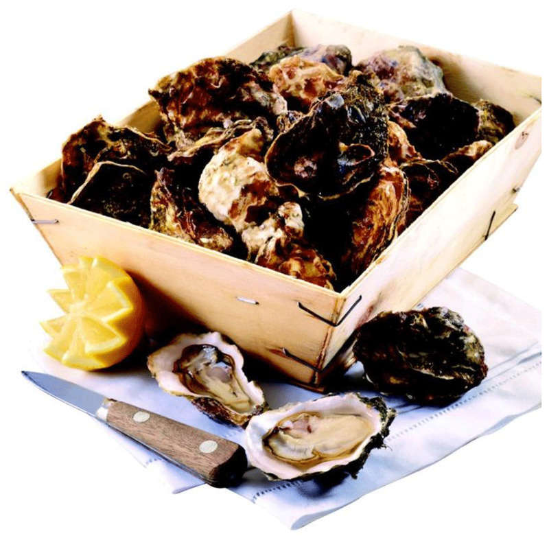 NO NAME CASINO-658591