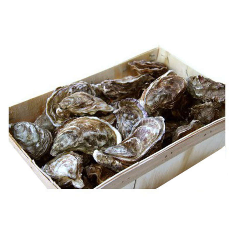 NO NAME CASINO-658702