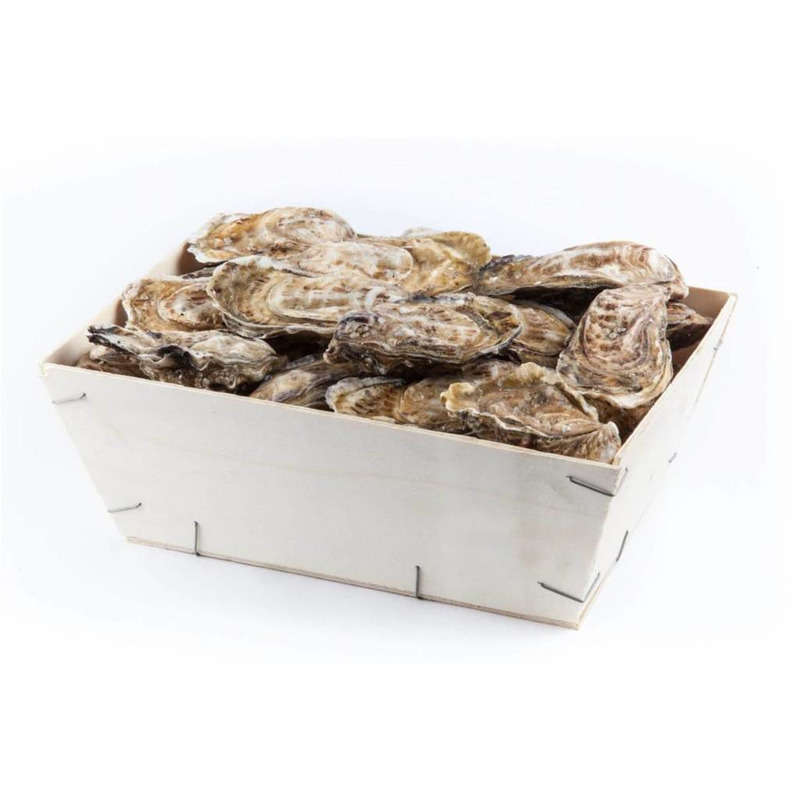 NO NAME CASINO-659526