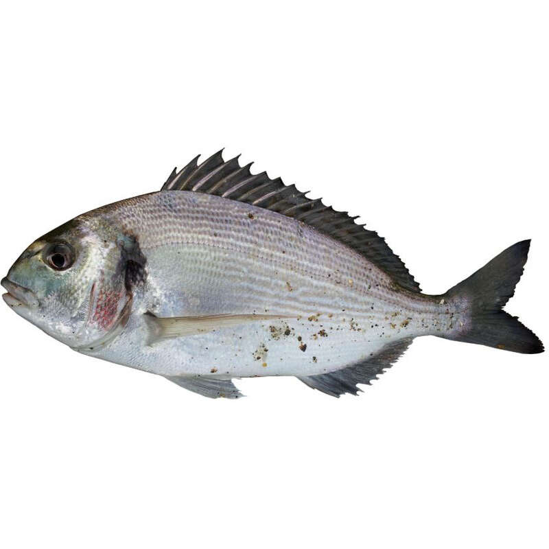 NO NAME CASINO-731664