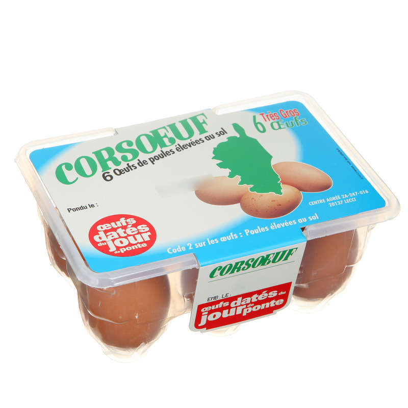 CORSOEUF-842024