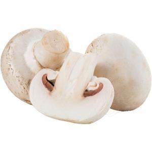 NO NAME CASINO-008465