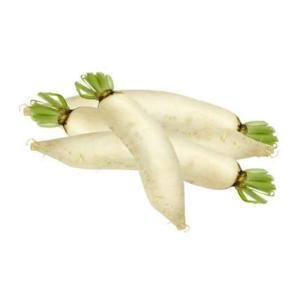 NO NAME CASINO-008592