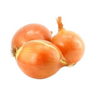 NO NAME CASINO-008638