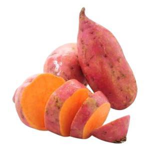 NO NAME CASINO-008671