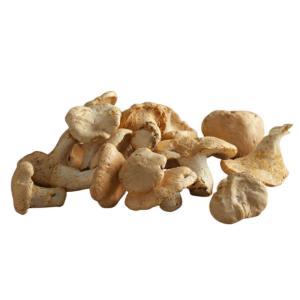 NO NAME CASINO-008741