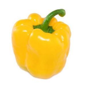 NO NAME CASINO-008759