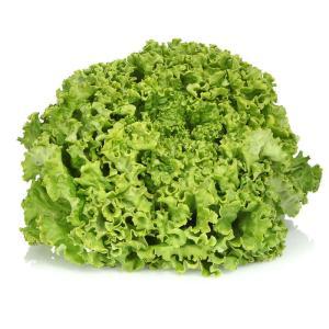 NO NAME CASINO-008882