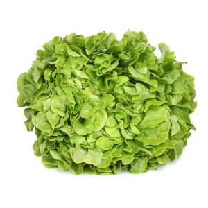 NO NAME CASINO-008884