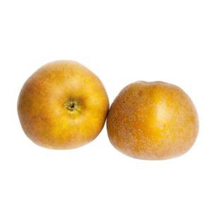 NO NAME CASINO-009195