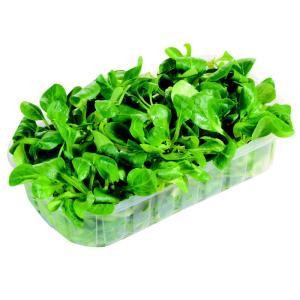 NO NAME CASINO-009276