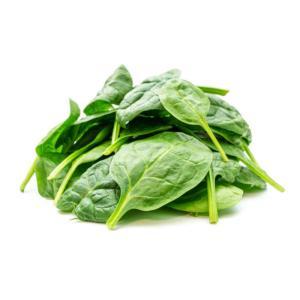 NO NAME CASINO-009282