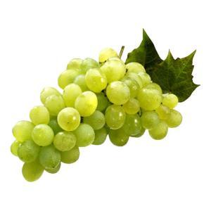 NO NAME CASINO-056617