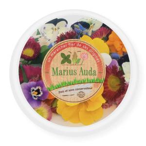 MARIUS AUDA-068628