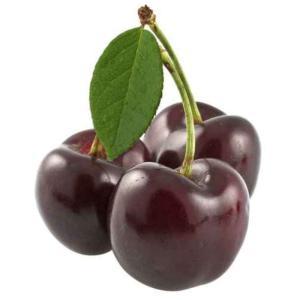 NO NAME CASINO-078333