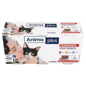 Casino Animaplus-086006