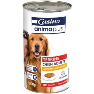 Casino Animaplus-086013