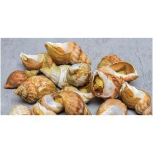 PAVILLON FRANCE-087847