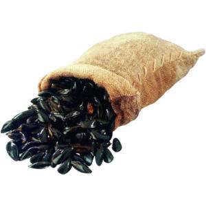 NO NAME CASINO-087914